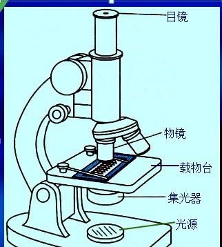 就是光学显微镜的光学部分都包括什么