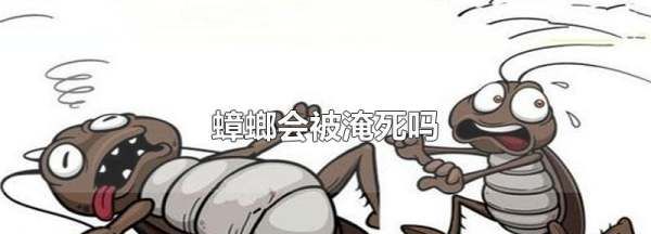 蟑螂会淹死,蟑螂扔到水里会不会淹死图4