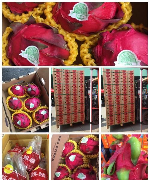 火龙果怎么保存能放时间长一点