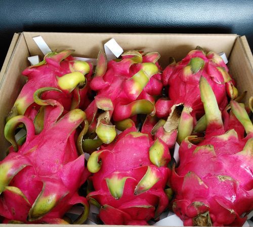 火龙果怎么保存能放时间长一点