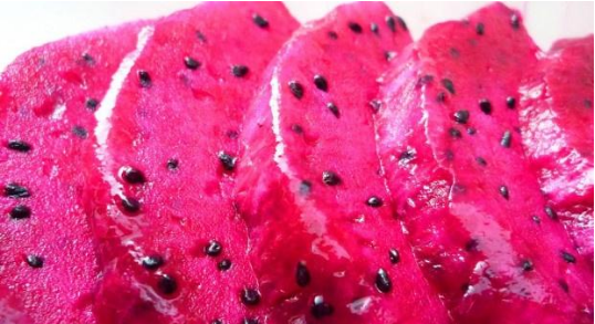 一箱火龙果怎么保存,火龙果的储存方法有哪些图2