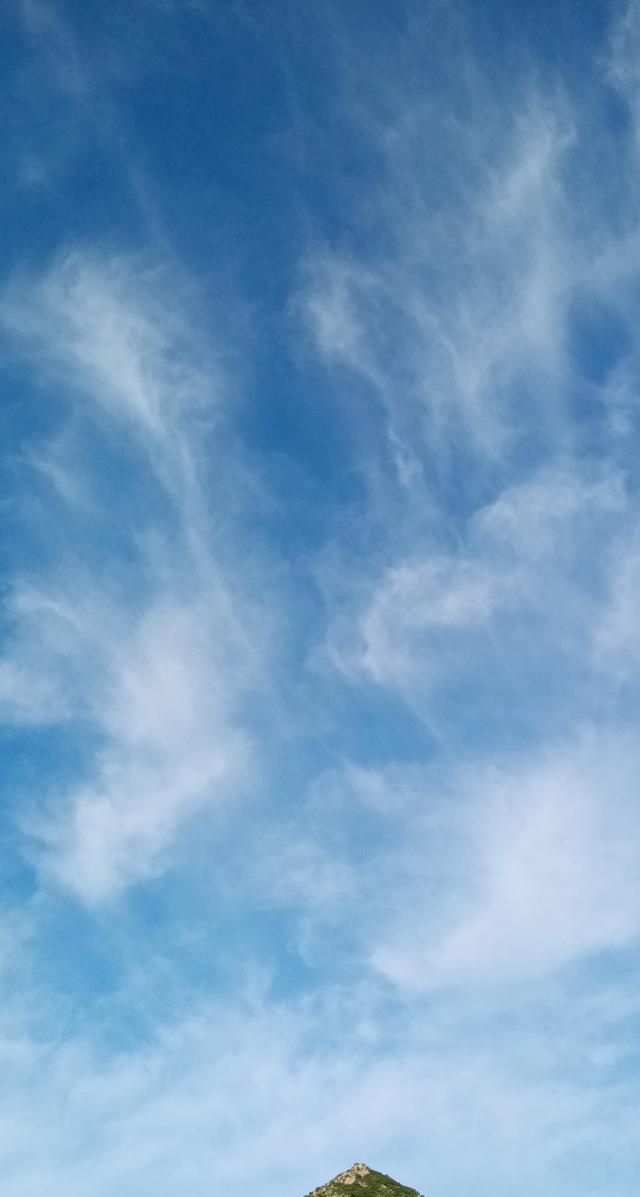 松茸生长在什么地方，北松茸生长在什么地方？图8