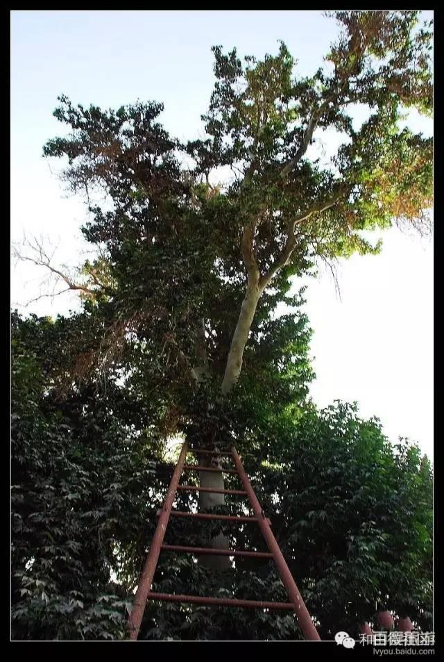 和田景点有哪些 51去哪大美和田(12)