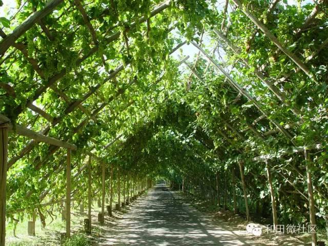 和田景点有哪些 51去哪大美和田(40)