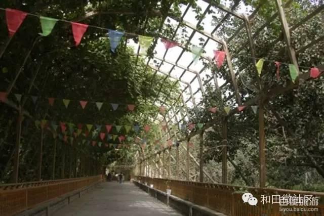 和田景点有哪些 51去哪大美和田(13)