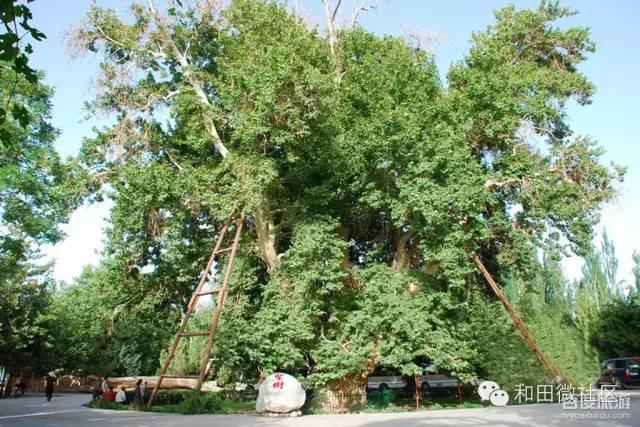 和田景点有哪些 51去哪大美和田(18)