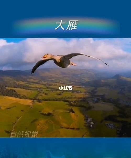 多看书对人有什么好处