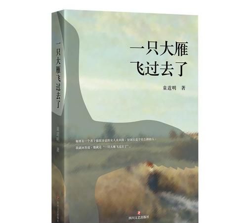 大雁为什么排成一字和人字