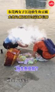 ​太奇葩！江边“放生”又出现了，这次是一大袋鱼豆腐 ......