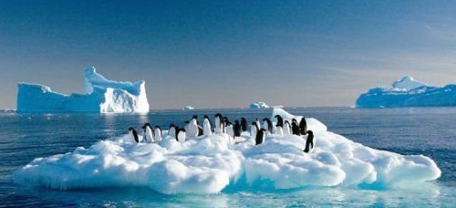 全球变暖的危害,全球的气候变暖会造成哪些危害图6