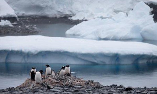 全球变暖的危害,全球的气候变暖会造成哪些危害图4