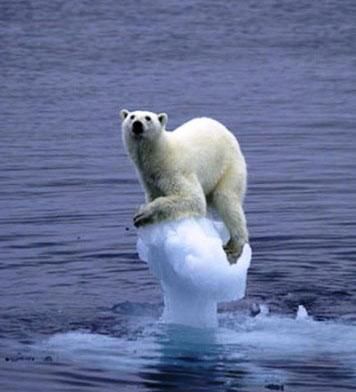 全球变暖的危害：全球的气候变暖会造成哪些危害