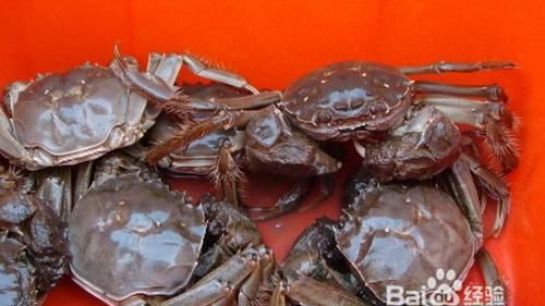 死螃蟹怎样保存