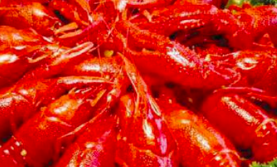 宾县美食排行,端午节特色美食图片图7