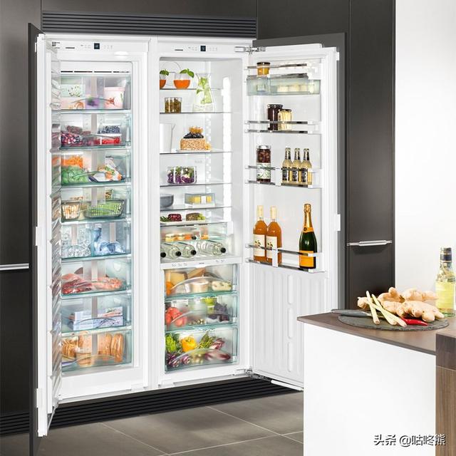 西门子顶级电冰箱（欧洲豪华冰箱最贵的达45万）(4)