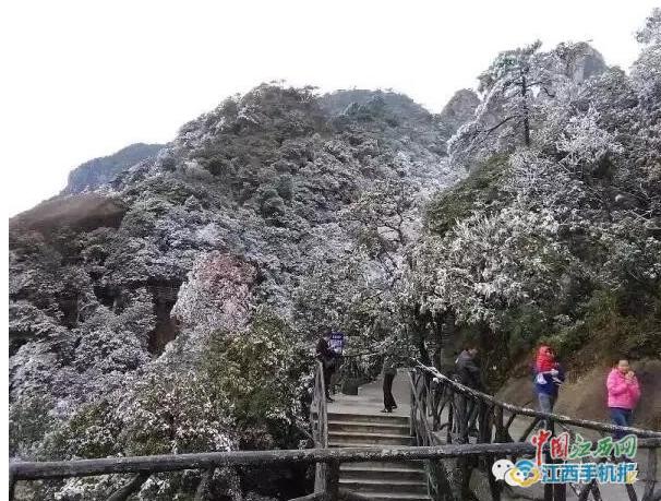 江西是不是每一年都会下雪（你那里下雪了吗）(5)