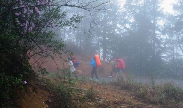 贵州铜仁旅游梵净山（贵州铜仁梵净山最全深度旅游攻略）(12)