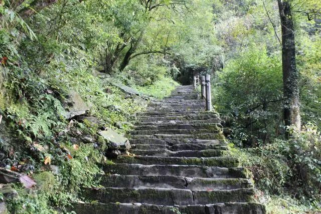 贵州铜仁旅游梵净山（贵州铜仁梵净山最全深度旅游攻略）(9)