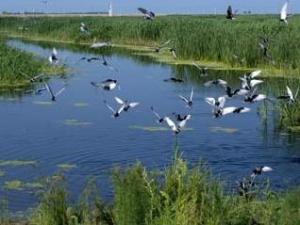 黑龙江省大庆市的介绍（黑龙江大庆市概述）(2)