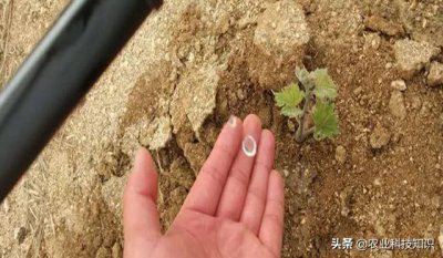 ​水肥一体化详细讲解（好不容易用上了水肥一体化）