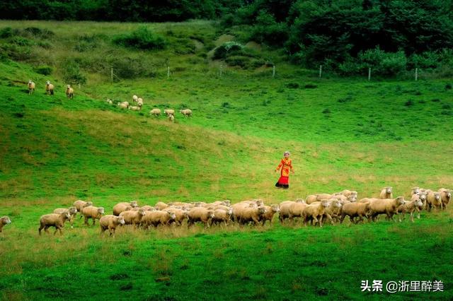 成贵高铁详细线路图（成贵高铁正式通车）(32)