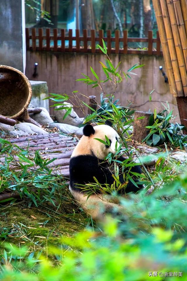 成贵高铁详细线路图（成贵高铁正式通车）(12)