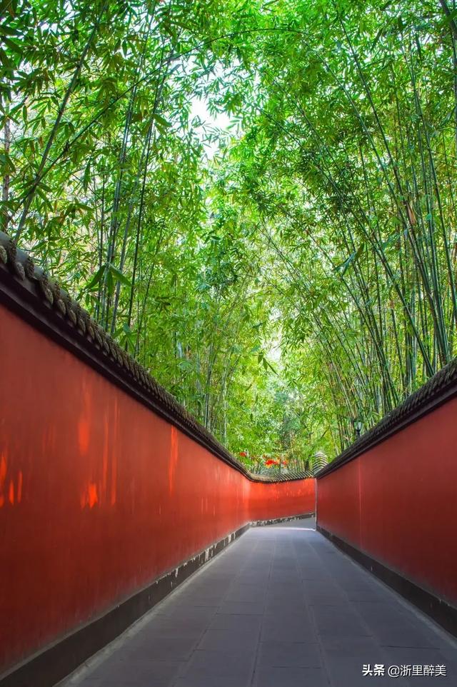 成贵高铁详细线路图（成贵高铁正式通车）(11)