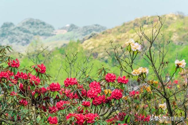 成贵高铁详细线路图（成贵高铁正式通车）(30)