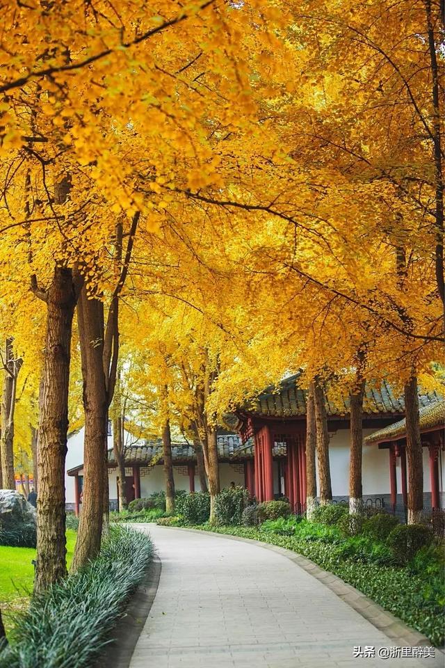 成贵高铁详细线路图（成贵高铁正式通车）(9)