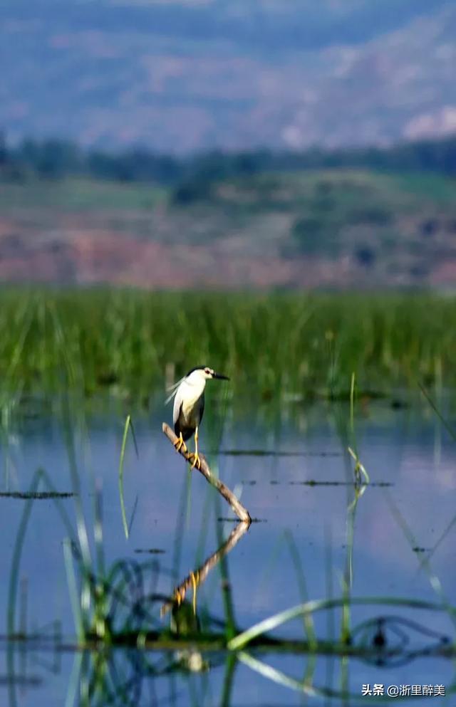 成贵高铁详细线路图（成贵高铁正式通车）(31)