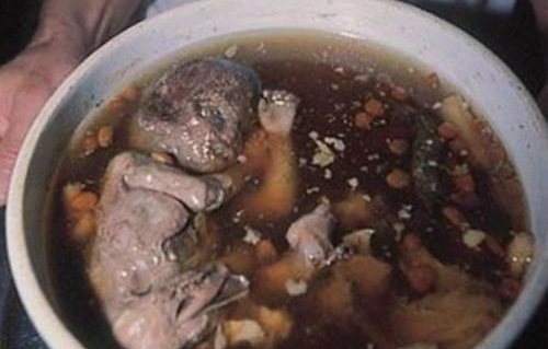 婴儿汤残忍事件是真的吗