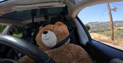 ​主驾坐着玩具熊，也能正常开？特斯拉 FSD 被曝缺陷！