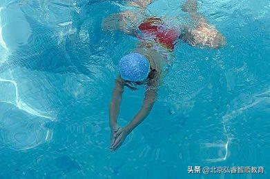 新手蛙泳的正确方法（学会这些技巧蛙泳快速入门）(10)