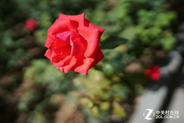 索尼fegm镜头发布（最轻巧的GM索尼FE24mm）(24)