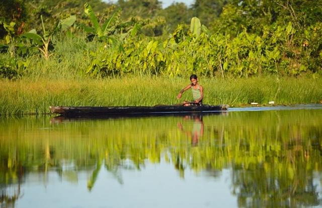 世界纪录最大的森蚺（猛兽绿森蚺南美洲水栖动物之王）(1)