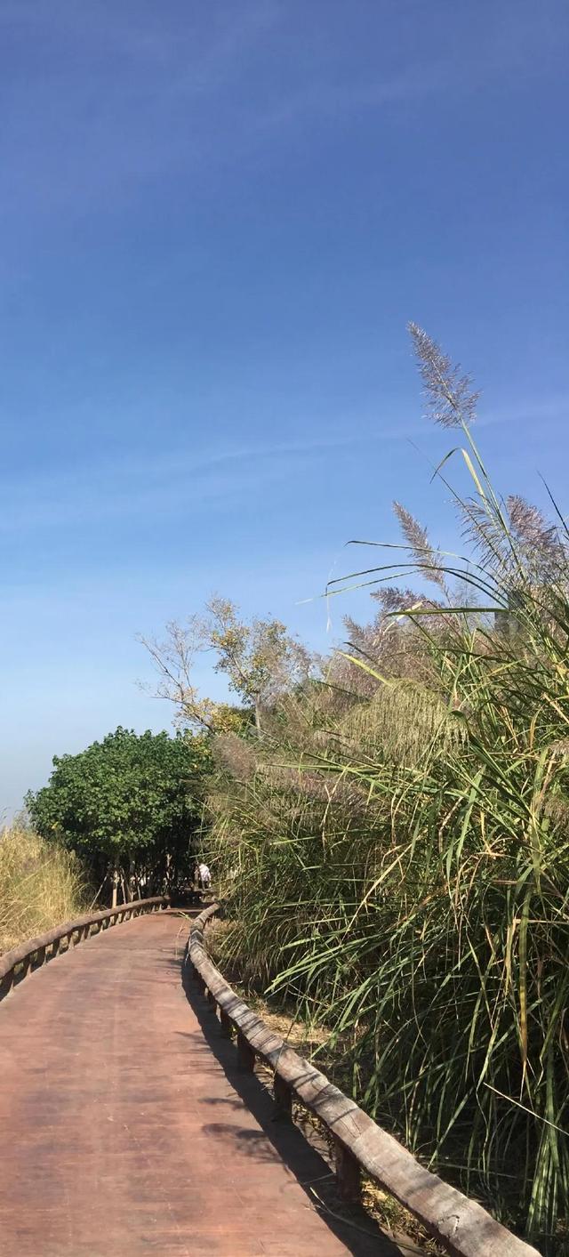 福州有哪些适合亲子游的地方（福州这些公园比较适合）(22)