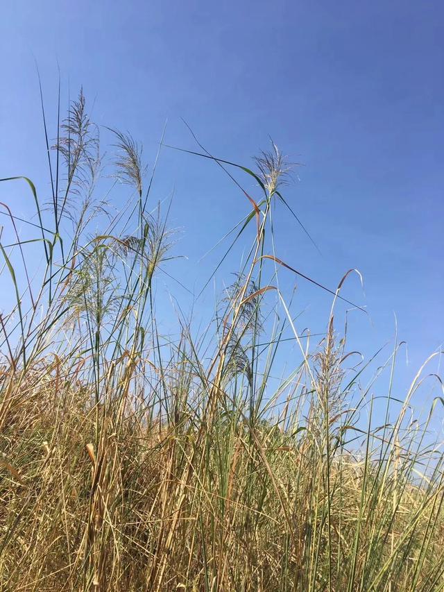 福州有哪些适合亲子游的地方（福州这些公园比较适合）(21)