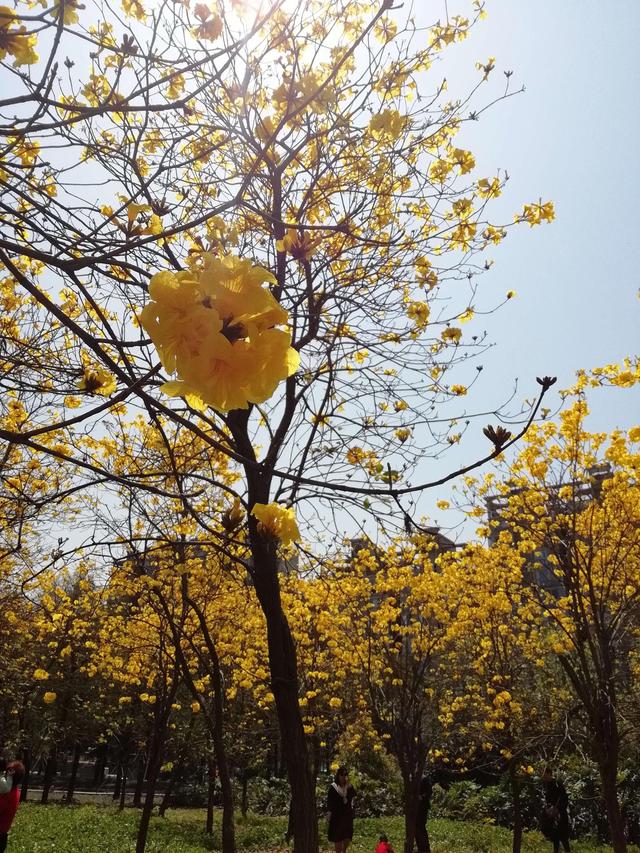 福州有哪些适合亲子游的地方（福州这些公园比较适合）(25)