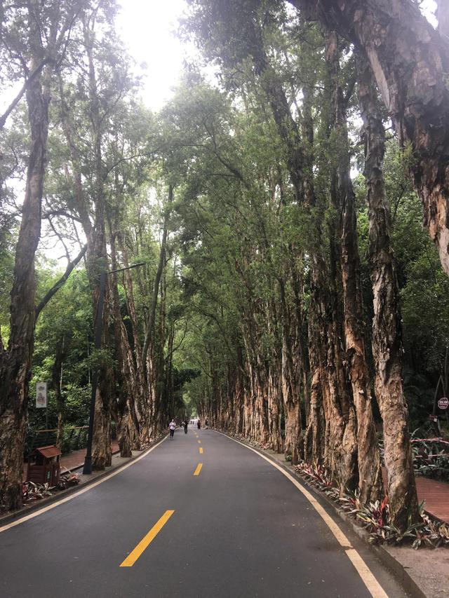 福州有哪些适合亲子游的地方（福州这些公园比较适合）(11)