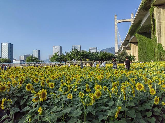 福州有哪些适合亲子游的地方（福州这些公园比较适合）(16)