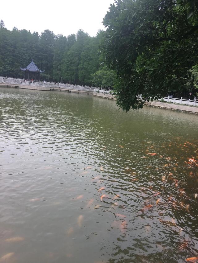 福州有哪些适合亲子游的地方（福州这些公园比较适合）(7)