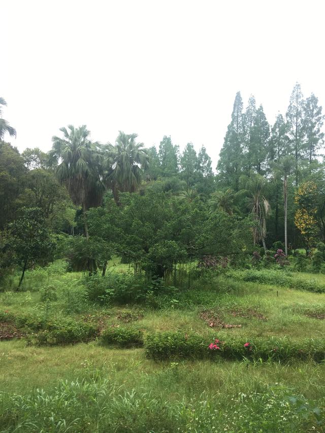 福州有哪些适合亲子游的地方（福州这些公园比较适合）(10)