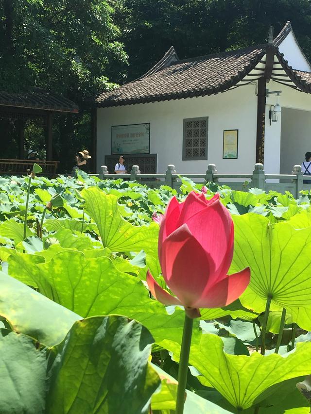 福州有哪些适合亲子游的地方（福州这些公园比较适合）(12)