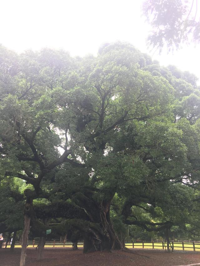 福州有哪些适合亲子游的地方（福州这些公园比较适合）(8)