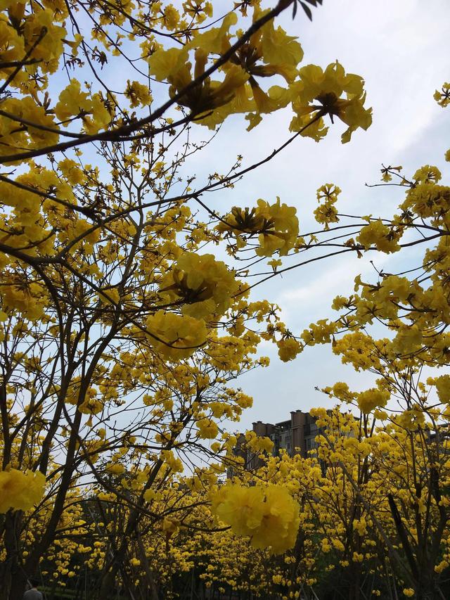 福州有哪些适合亲子游的地方（福州这些公园比较适合）(23)