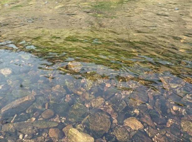 我国水资源短缺现状（为何节约用水预计到2050年）(8)