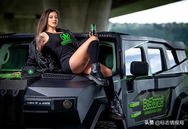 现代战舰超牛轰炸机（这应该是世界上最）(19)