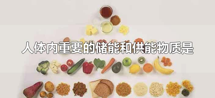 人体内重要的储能和供能物质是