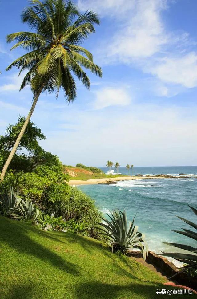 许家印用个人资本还恒大债务（斯里兰卡负债500亿就破产了）(2)