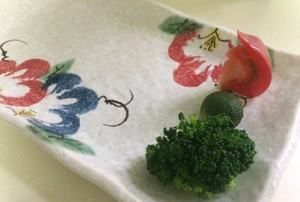 照烧鸡排的制作方法,日式照烧鸡排怎么做图19